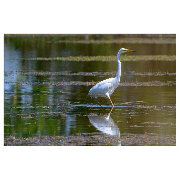 PHOTO84, CLUB, 84 , LUBERON